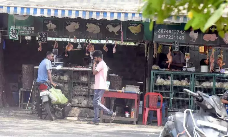 Sankranti Demand Sends Andhra Chicken Prices Soaring Past Mutton