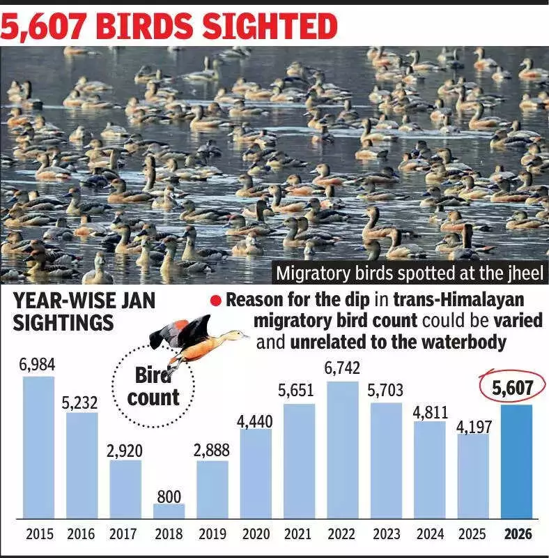 Santragachhi Jheel Bird Census Shows Mixed Results: Migratory Numbers Up, Rare Species Decline