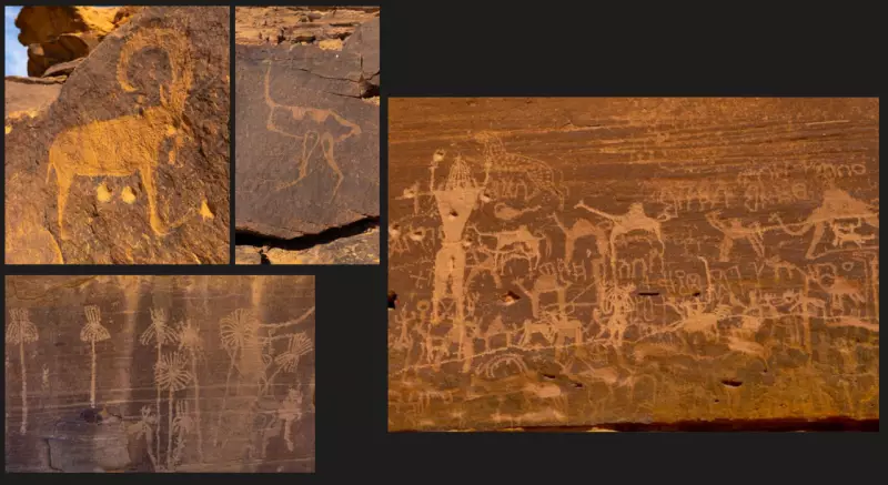 Saudi Arabia's Green Past: Ancient Lakes & Rivers Revealed by Science