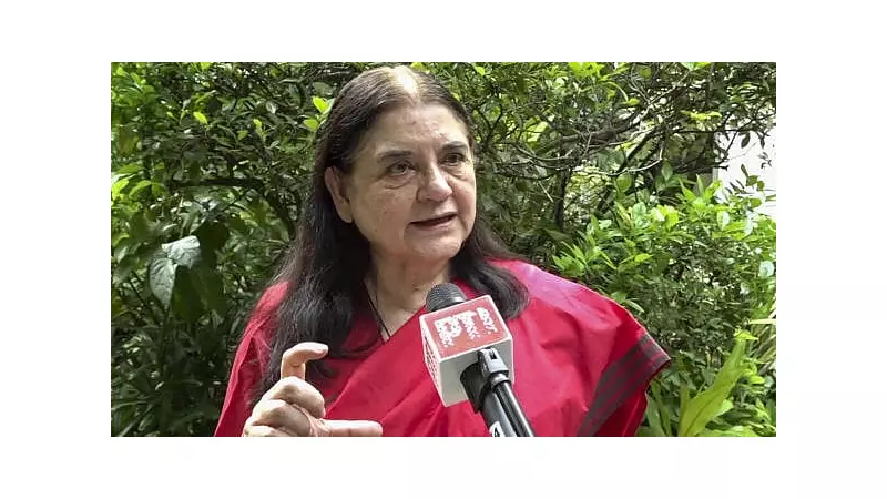 SC Questions Maneka Gandhi's Stray Dog Remarks, Cites Contempt Concerns