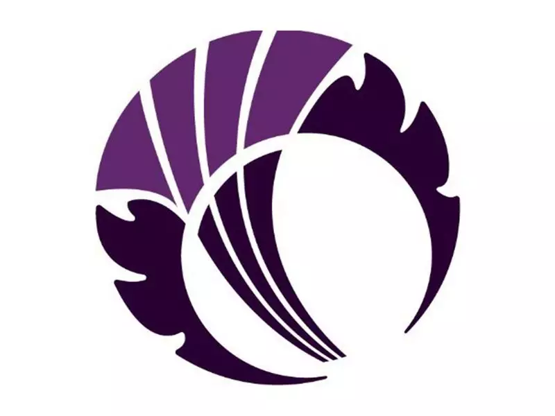 Scotland Unveils 15-Player Squad for ICC Men's T20 World Cup 2026