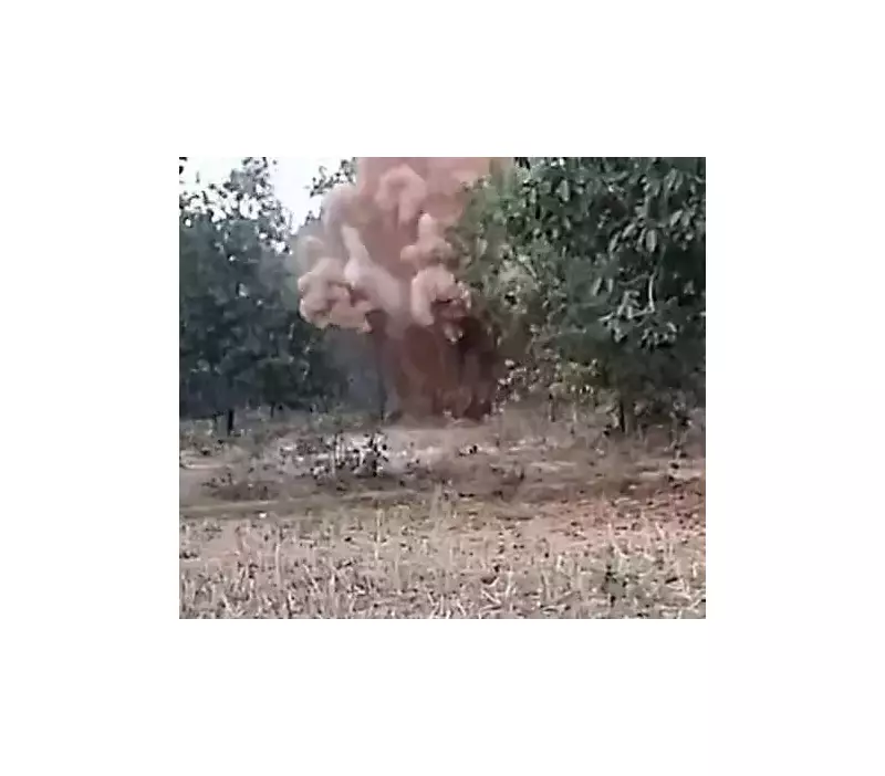 Security Forces Uncover Maoist IEDs and Supplies in Bijapur Operations