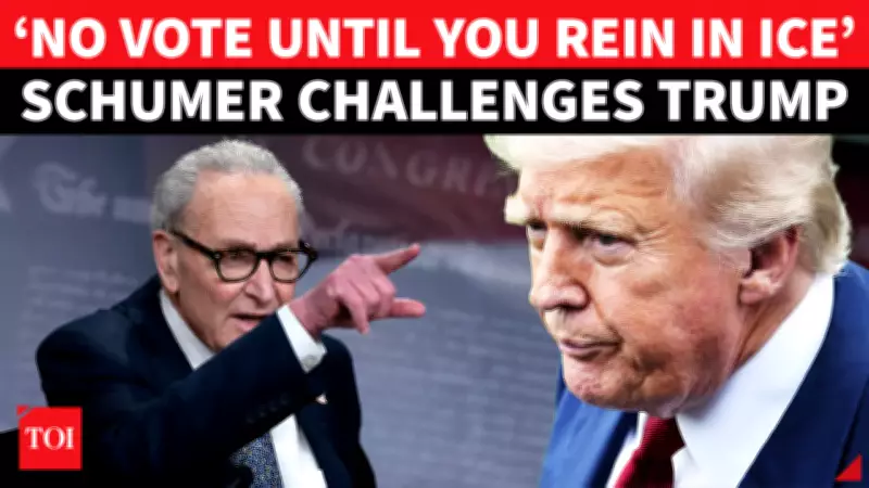 Senate Democrats Force ICE Funding Split in Government Spending Deal