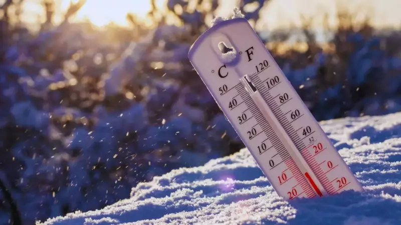 Severe Cold and Dense Fog to Grip North India from January 14 to 19