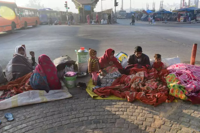 Severe Cold Wave & Dense Fog Grip North India; Schools Shut in Jaipur, Tripura