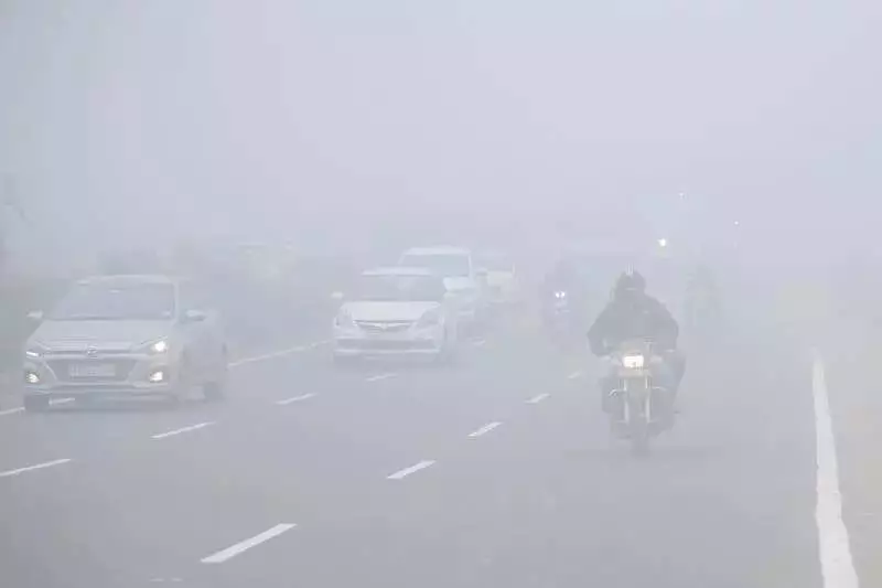 Severe Cold Wave Grips Northwest India, Dense Fog Reduces Visibility to Zero