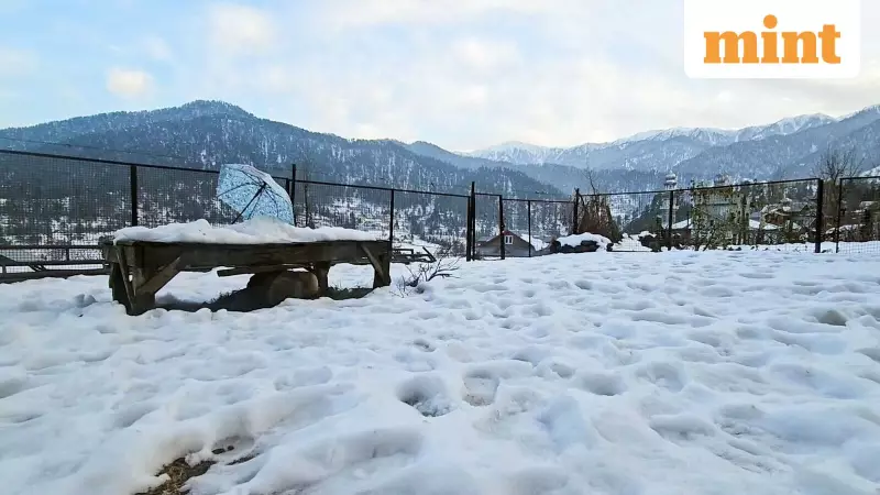 Severe Weather Disrupts North India: J&K Snowfall Cancels Flights, Delhi Sees Rains