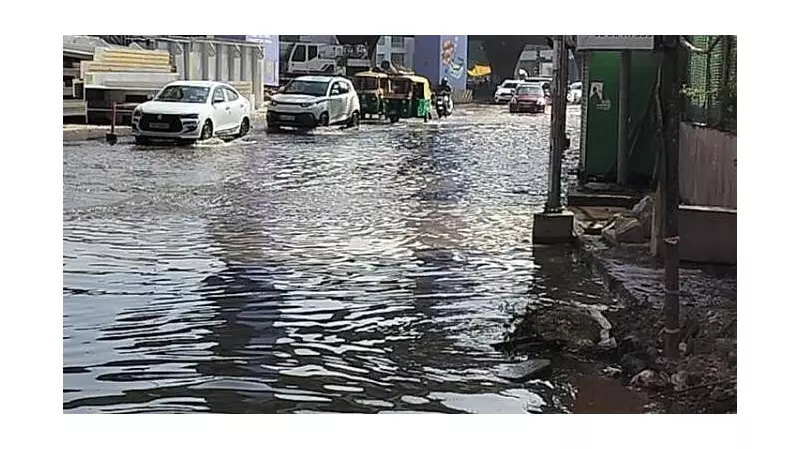 Sewage Backflow Plagues Bengaluru's BTM Layout, Residents in Distress