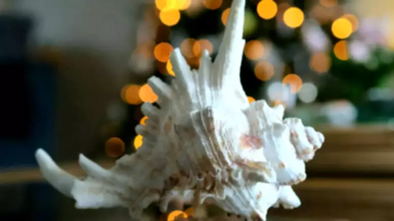 Shankh in Vastu: Sacred Conch Shell's Spiritual and Material Benefits