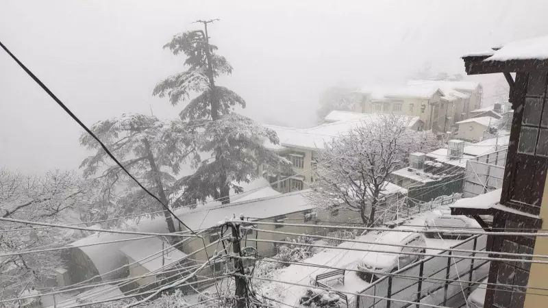 Shimla Welcomes Season's First Snowfall, Traffic and Power Hit in Upper Areas