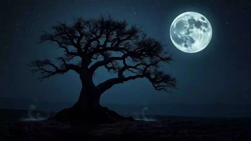 Shukla Paksha Shashthi: Lunar Energy for Purposeful Action and Zodiac Guidance