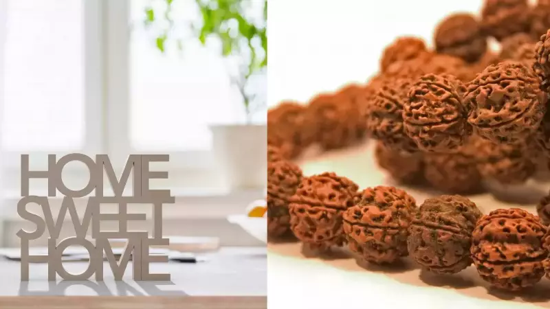 Simple Vastu Items to Cleanse Your Home's Aura and Boost Positivity