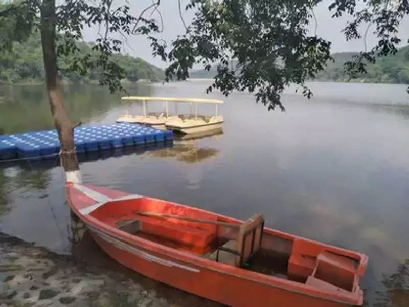 Siswan-Mirzapur Forest Becomes Punjab's New Eco-Tourism Hotspot