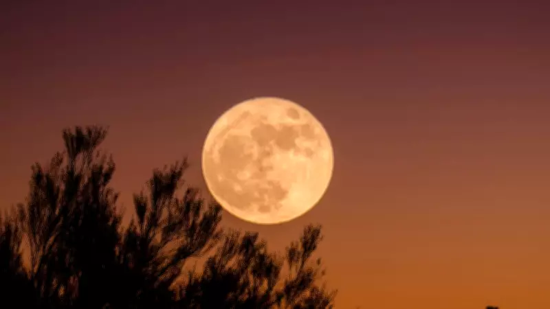 Snow Moon 2026: When and How to Spot February's Full Moon