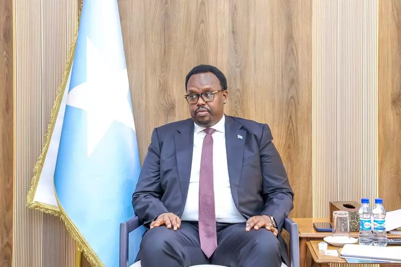 Somalia's Deputy PM Jama Impresses at Davos with Fluent Hindi Interview