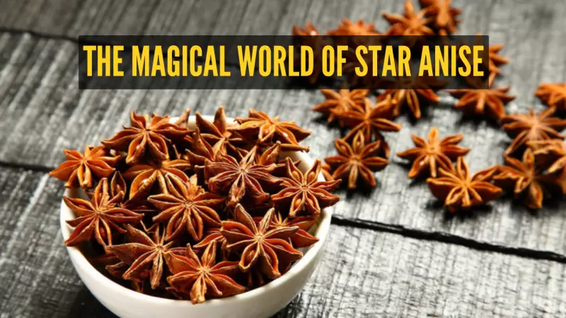 Star Anise: The Royal Spice That Transformed Indian Cuisine