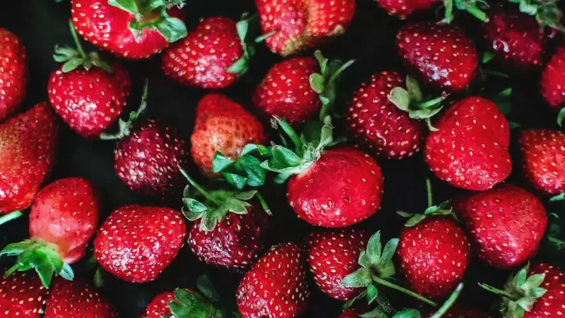 Strawberries: The Only Fruit That Wears Its Seeds on the Outside