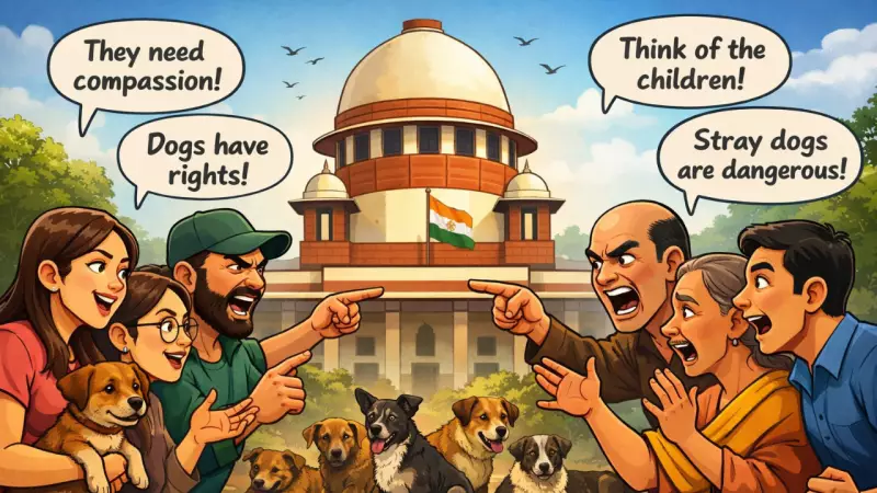 Stray Dog Debate Intensifies: Supreme Court Orders Action, Experts Warn Against Quick Fixes