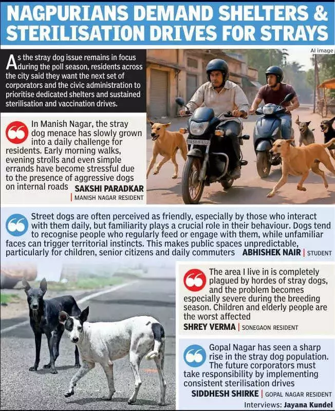 Stray Dog Menace Becomes Key Election Issue in Nagpur Civic Polls