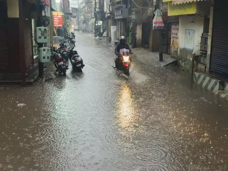 Strong Winds and Heavy Rain Disrupt Life in Patiala, Power Supply Severely Affected