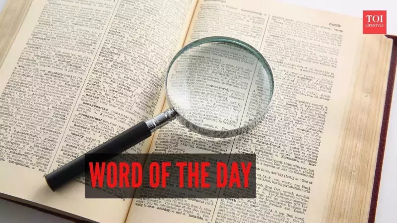 Succedaneum: The Rare English Word for Substitute You Should Know