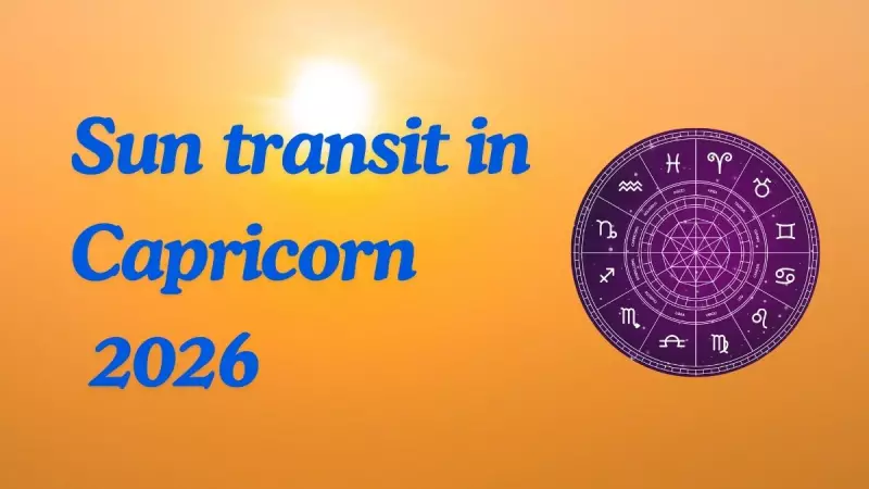 Sun Moves to Capricorn in 2026: 4 Zodiacs to See Big Career, Money Wins