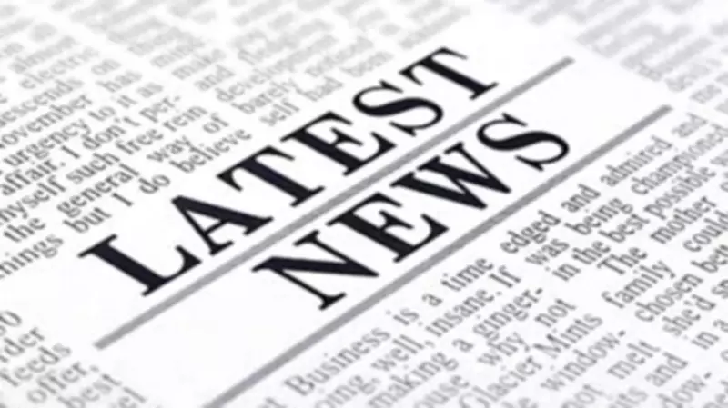 Supreme Court Reserves Verdict on Stray Dogs Case Modification Pleas