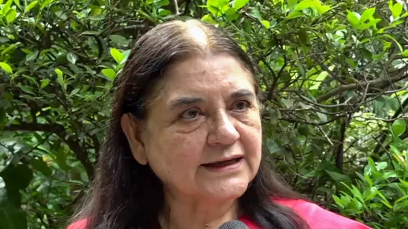 Supreme Court Slams Maneka Gandhi for Criticizing Stray Dog Orders