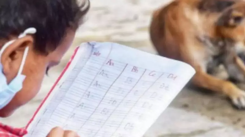 Supreme Court Stray Dog Order Sparks Teacher Protests in Delhi, Mumbai