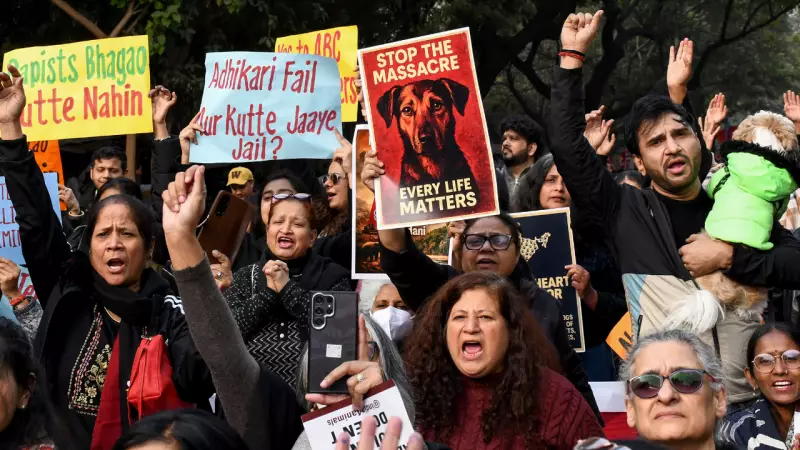 Supreme Court Warns States on Stray Dog Bite Compensation, Targets Feeders