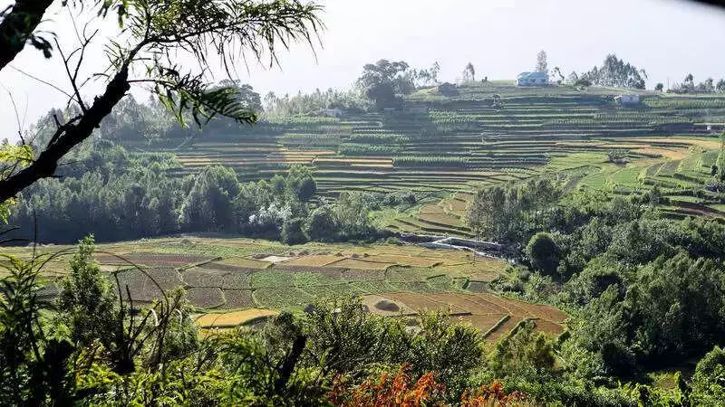 Supreme Court's Aravalli Ruling Highlights Urgent Need to Protect Western Ghats