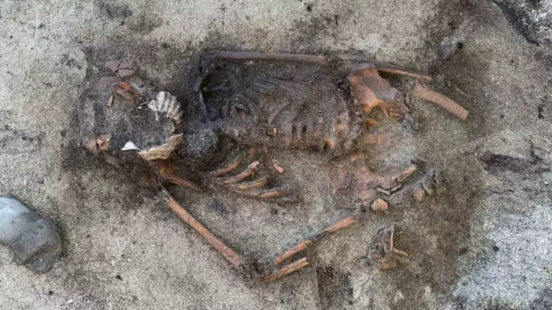 Swedish Archaeologists Unearth 5,000-Year-Old Dog Burial with Bone Dagger