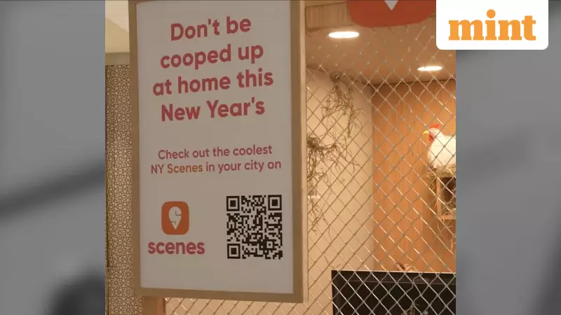 Swiggy's 'Man in a Cage' Mumbai stunt sparks viral buzz for new 'Scenes' app