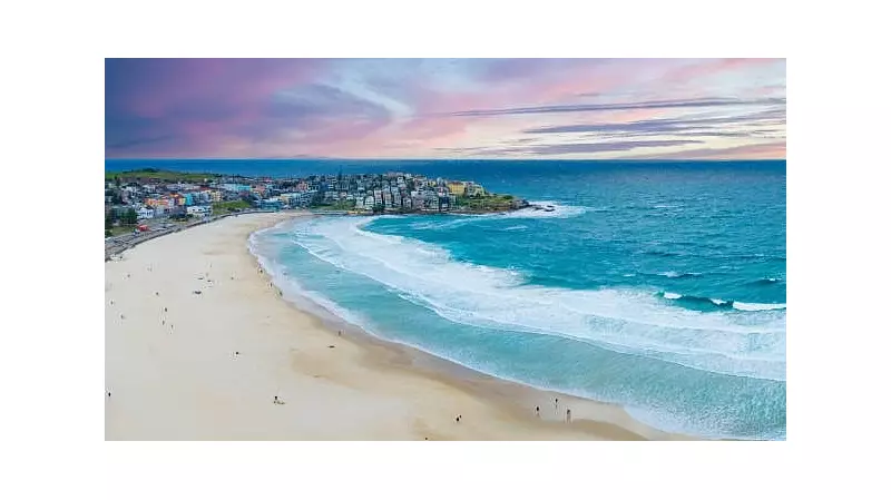 Sydney Beaches Shut Down After Three Shark Attacks in 48 Hours
