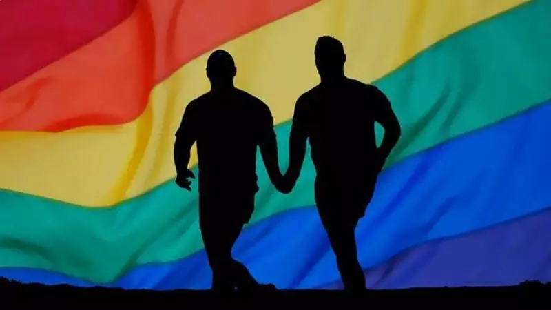 Syrian LGBTQ+ Refugee Seeks Protection in Gujarat HC, Cites Fear of Death in Home Country