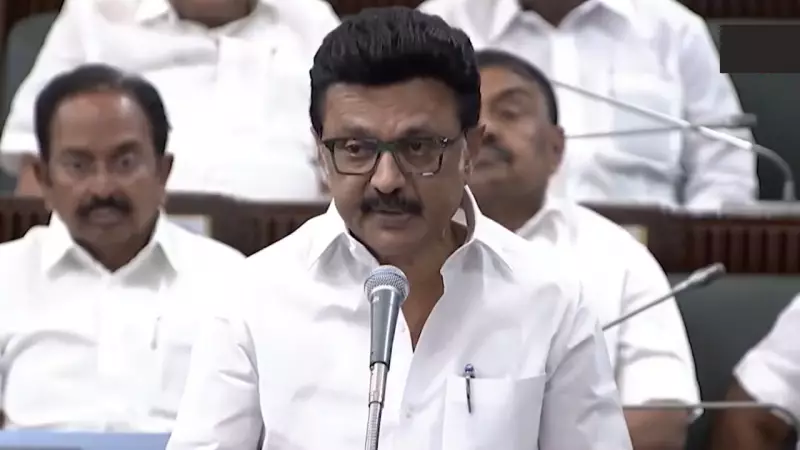 Tamil Nadu CM Stalin Launches Scathing Attack on Governor Ravi in Assembly