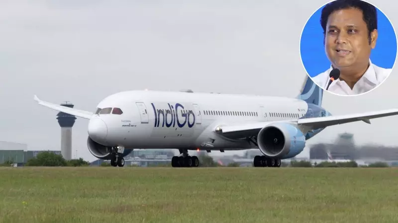 Tamil Nadu Minister Slams IndiGo Over Flight Delays, Calls Treatment 'Cheap'