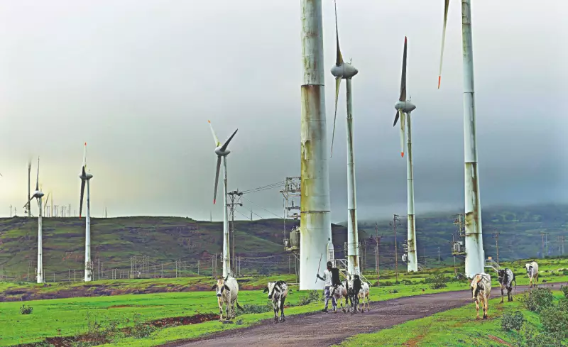 Tamil Nadu's Revised Wind Policy Aims to Regain Top Spot from Gujarat