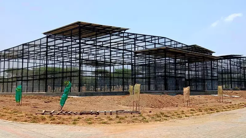 Tamil Nadu's Wildlife Crisis: Deaths of Translocated Tuskers Spark Conservation Debate