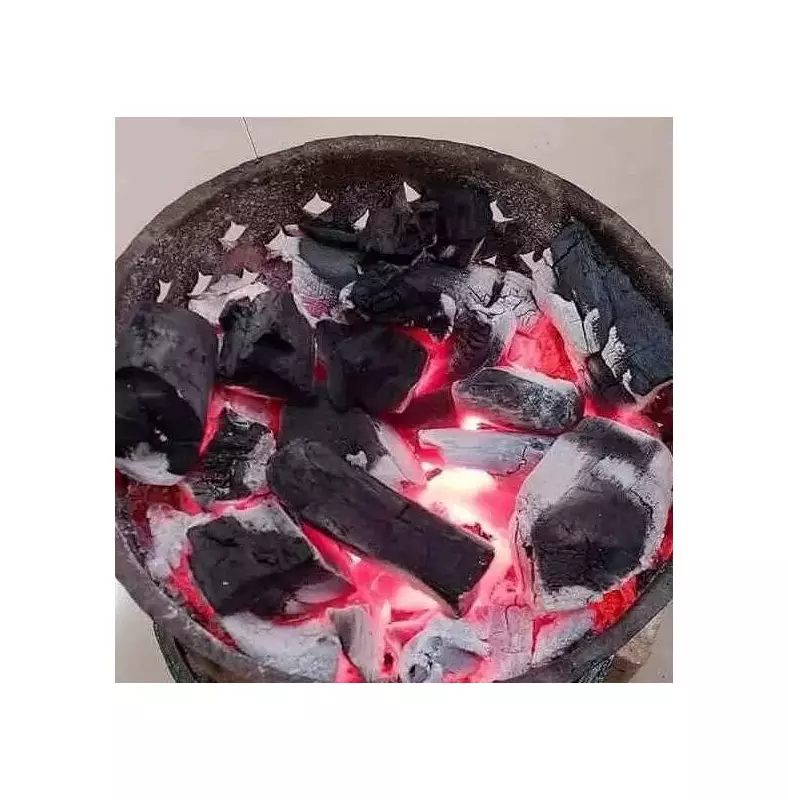 Tarn Taran Tragedy: Family of 3 Succumbs to Suffocation from Indoor Fire