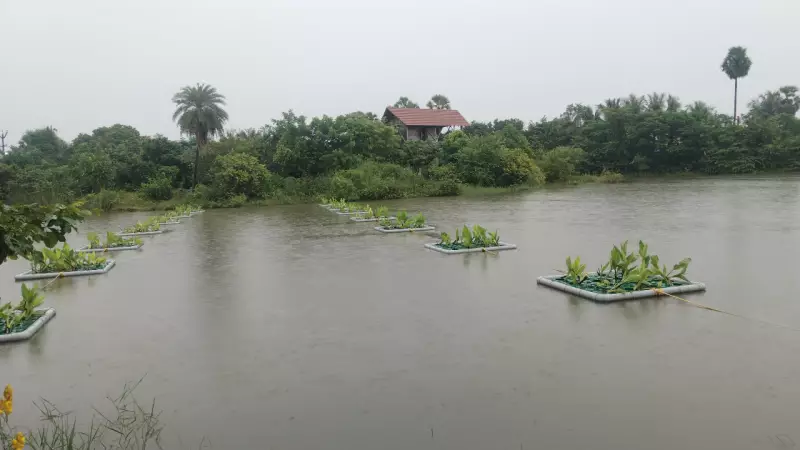 Tata's Lake Revival Project Transforms Village Life in Tamil Nadu