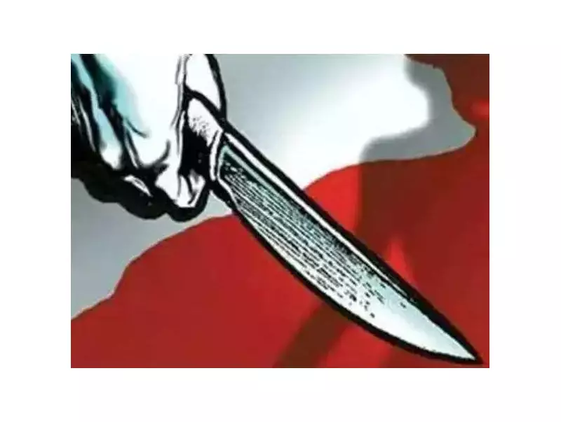 Teen Fatally Stabbed in Delhi Park Over Month-Old Argument, 5 Arrested