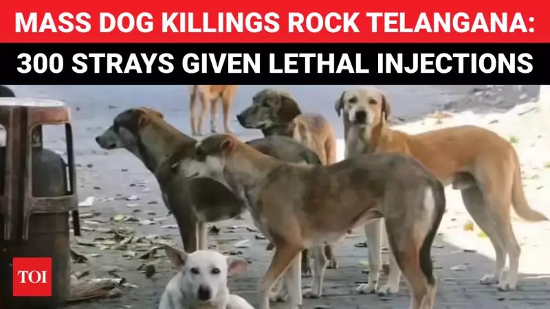 Telangana Dog Culling, Bangladesh WC Row, Raheman Dakait Arrest: Key Updates
