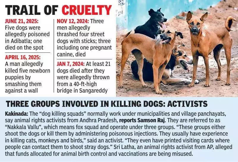 Telangana Panchayat Winners Fulfill Election Vows with Stray Dog Culling