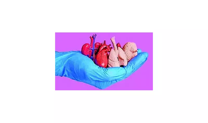 Telangana's Organ Transplant Gap: 4,800 Wait as 732 Get New Life in 2025