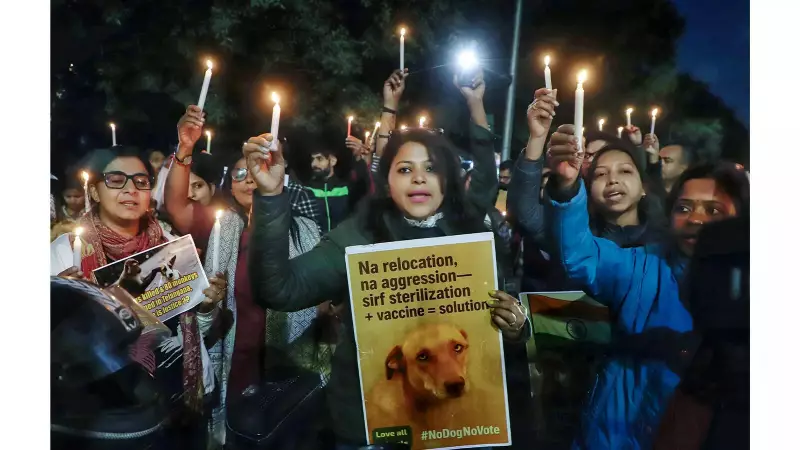 Telangana's Stray Dog Massacre: How Political Ambition Overrode Humane Laws