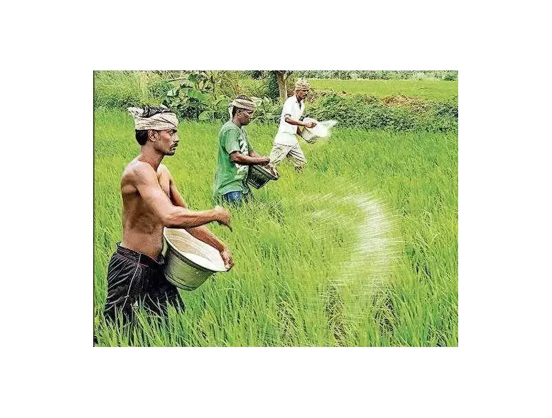 Telangana's Urea Surge Sparks Farming Crisis Debate