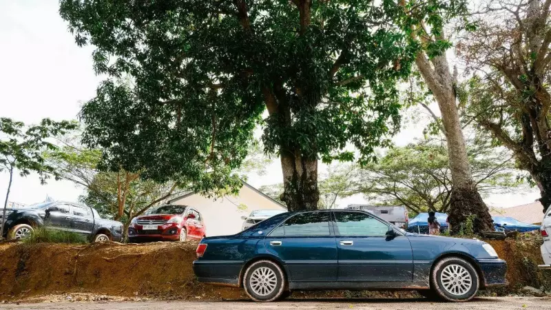 The Hidden Dangers of Parking Under Trees: 7 Risks to Your Vehicle