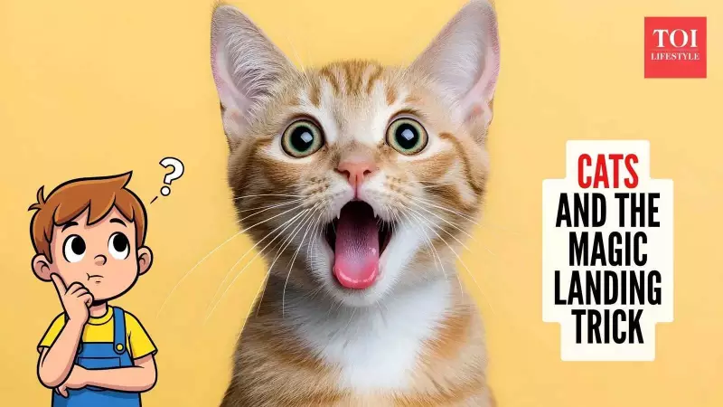 The Science Behind Cats Landing on Their Feet: A Fascinating Look