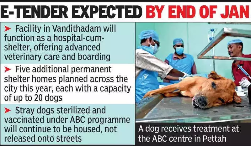 Thiruvananthapuram to Build State's Largest Stray Dog Shelter & Hospital by Jan-End
